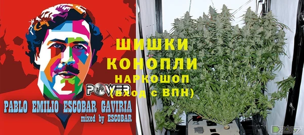 шишки Зеленодольск
