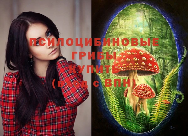 MESCALINE Зерноград