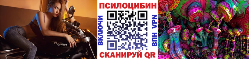 Галлюциногенные грибы ЛСД  Купить где  Гудермес 