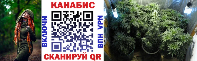 Купить  Гудермес  Каннабис марихуана 